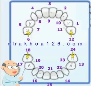 http://nhakhoa126.com/hinhanh/hinh-ve/nha-khoa-tap-cho-tre-danh-rang16.jpg